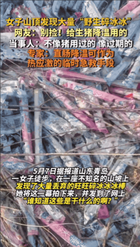 山东青岛，一女子徒步来到一座不知名的山上时，突然发现了一大堆被丢弃的“野生棒棒冰