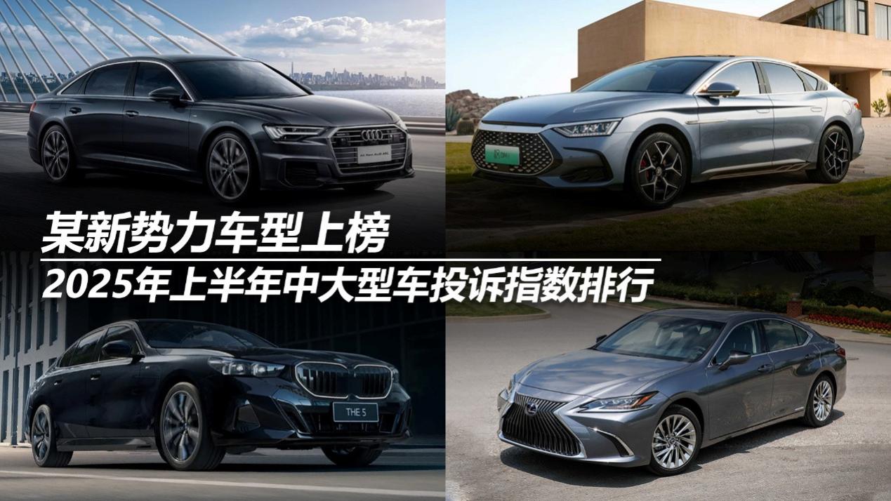 2025年上半年中大型车投诉指数排行：某新势力车型上榜
