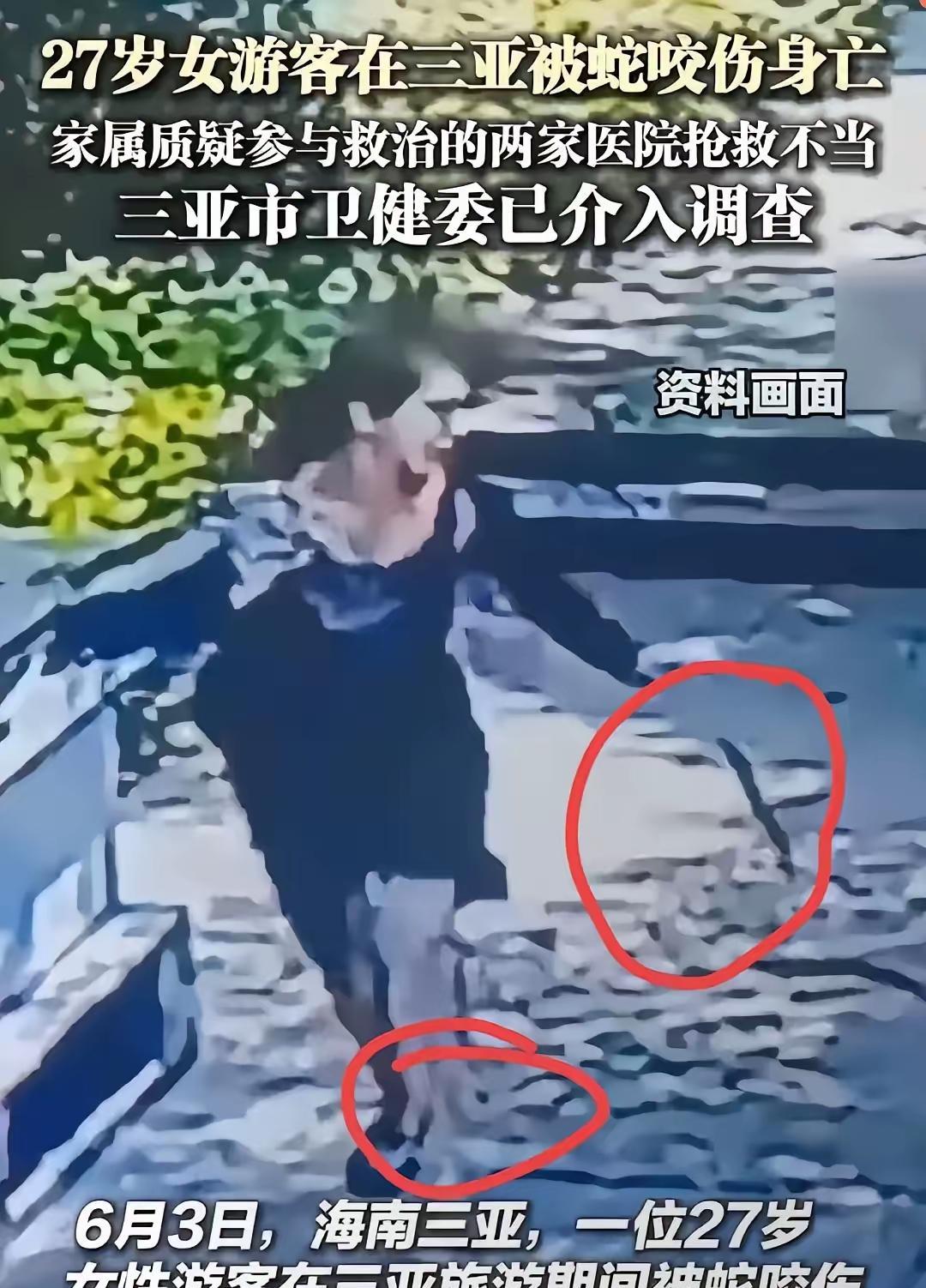 血的教训，什么蛇？告知医生