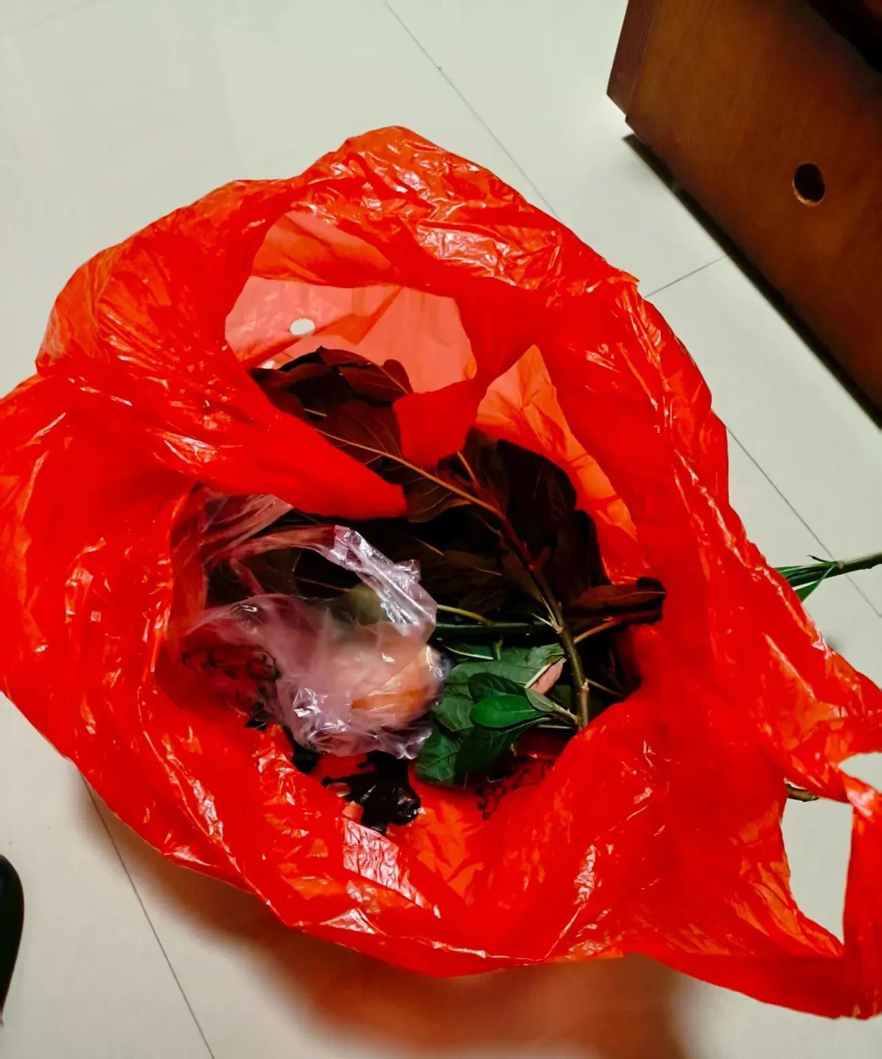 我何德何能啊？我都想哭了。
这两天我生病了，但我还是坚持去摆摊，因为不摆摊就没有