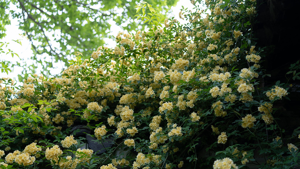 环境就是一个人的命运