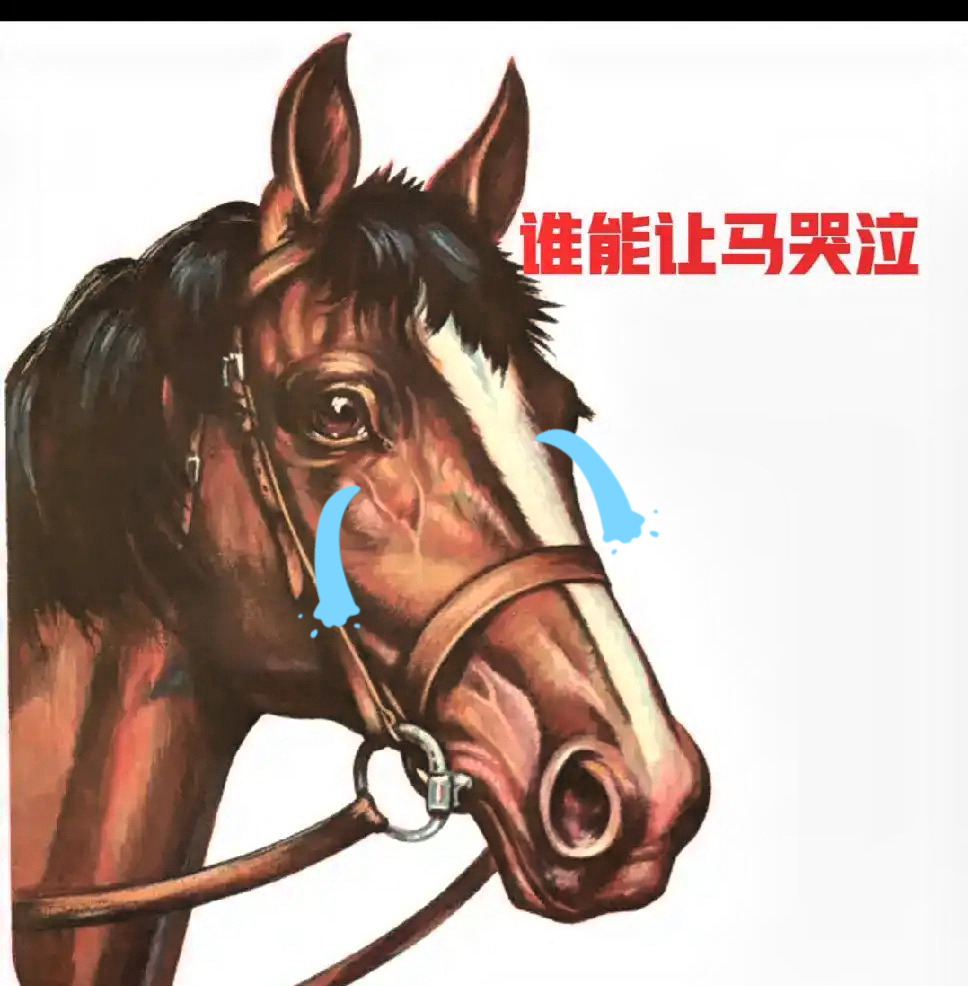 印度男子对马做不雅之事











这事儿真把我气炸了，简直是闻所未闻