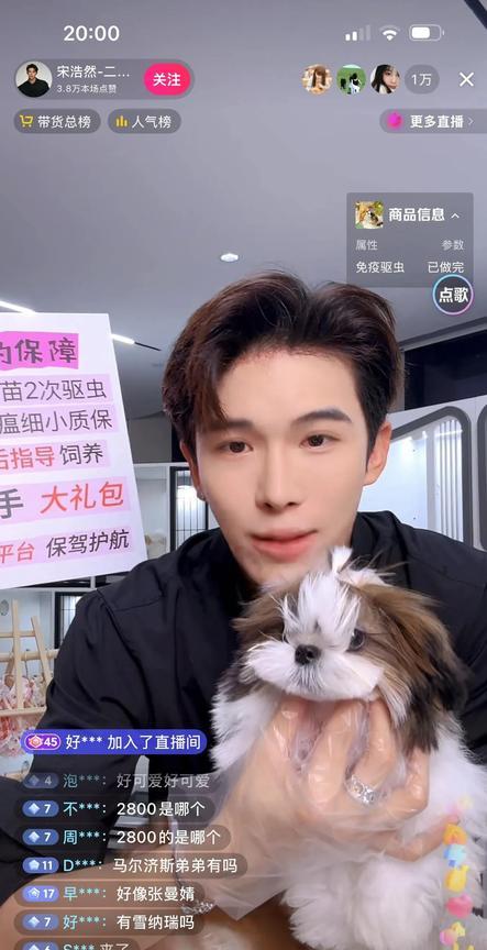 最后一只，一万八不要，五千八不要，只要三千八来倒计时，五四三二一！网售宠物狗赛道