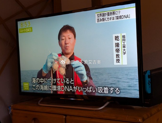 一个教授，名叫乾隆帝，但是是日本人 ​​​
