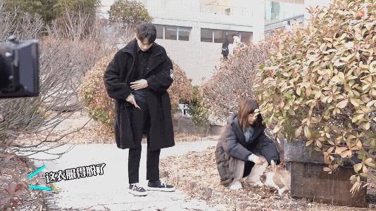 这男演员到底怎么了，一个个的穿上戏服，就开始满身找口袋，前有许凯，找不到口袋，竟