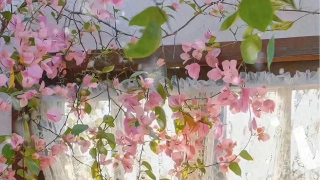 秋后算账？这4个星座最擅长“秋后算账”，看看你身边有吗？