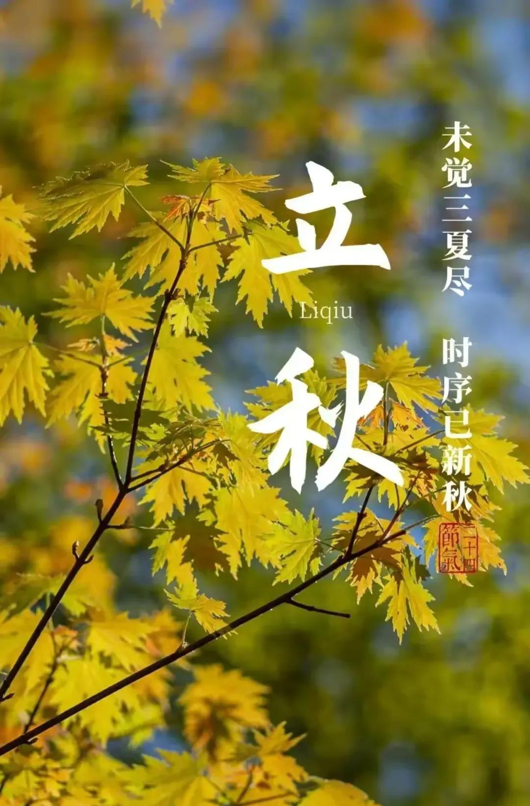 《立秋三阕》
《鹧鸪天·立秋》
一叶梧桐报早秋，金风初动小帘钩。
三分暑气随云散