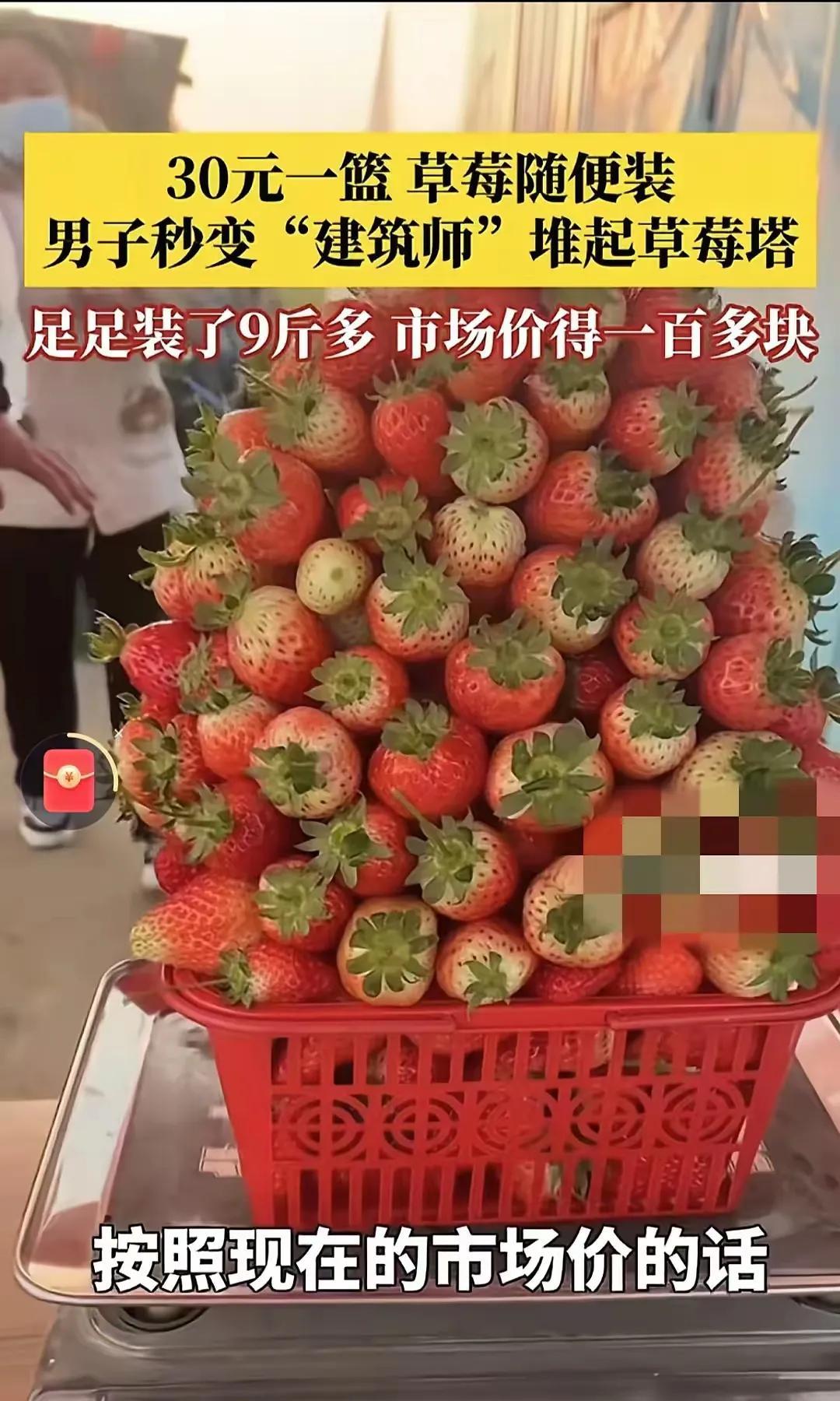 文章主题关键字：
河南，一名女子和丈夫去摘草莓，得知30元摘一篮子草莓，女子觉得