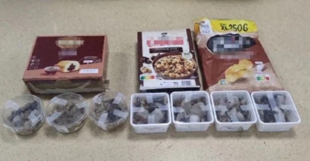 丧心病狂！蛋糕盒里竟爬出165只活虫，谁敢下口？