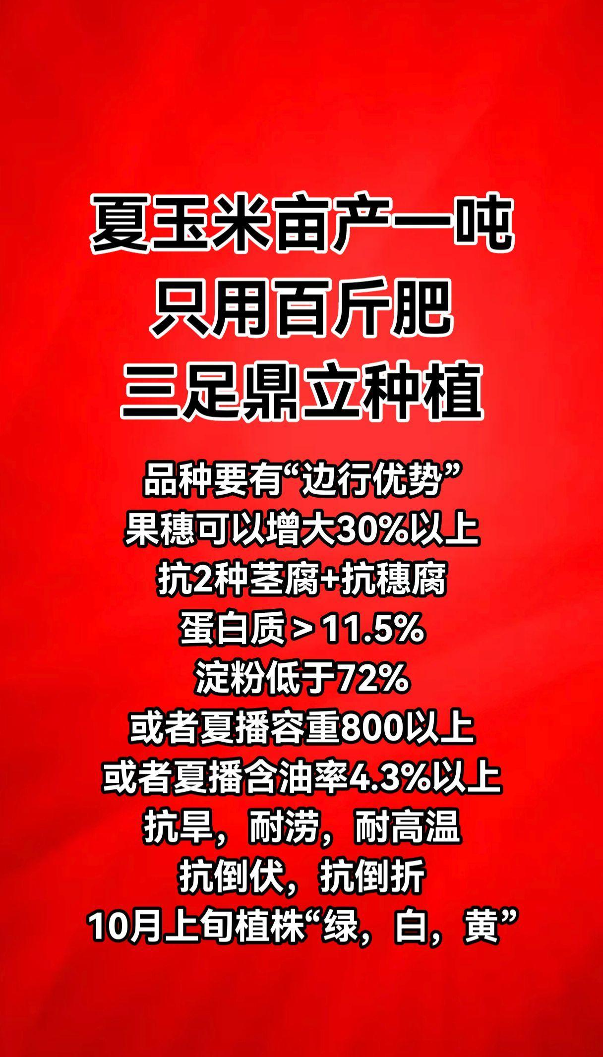 夏玉米亩产一吨
只用百斤肥
三足鼎立种植（3行玉米留一个大行，株距16~19厘米