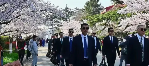 辣眼睛！一群大爷和大妈西装革履、油头粉面，鼻梁上架着一副墨镜，步伐整齐地穿梭在春