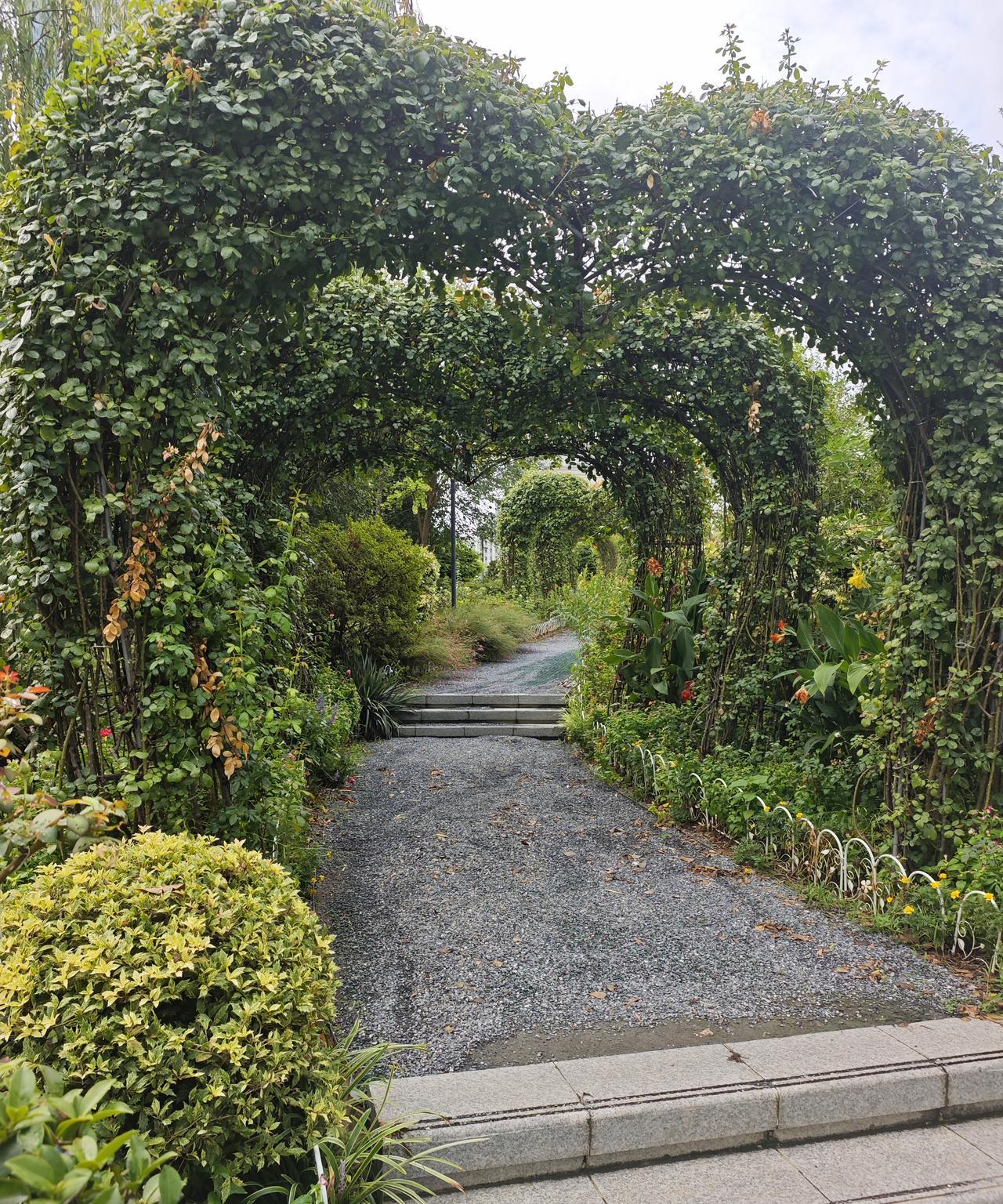 AI时代程序员新赛道：从编码到驾驭智能
在AI重塑各行各业的当下，光会写代码已远