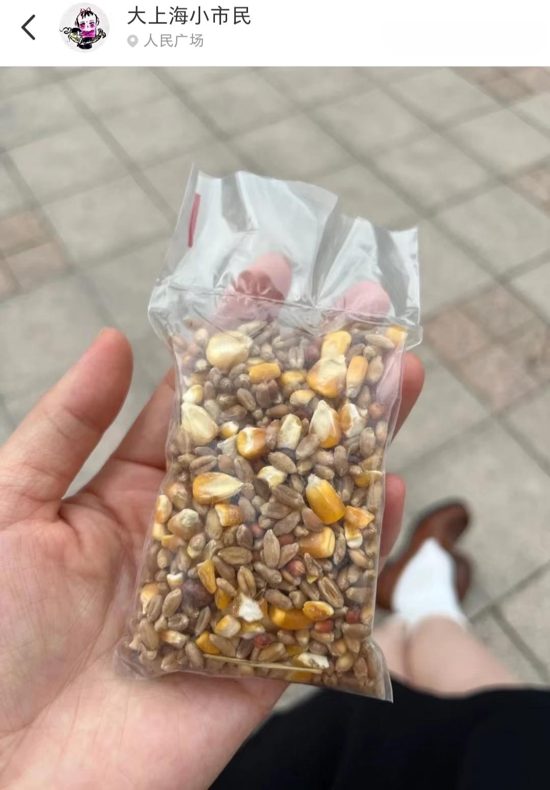网友买完鸽子饲料才发现…它们其实根本不愁吃！[左捂脸]