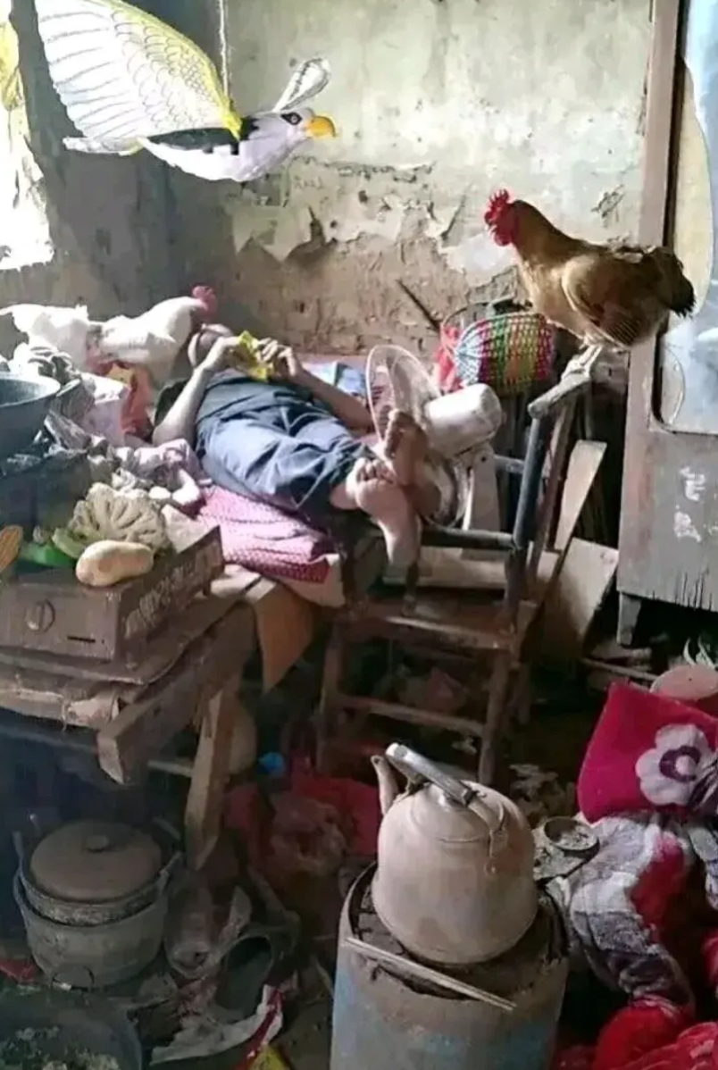 妥妥的五保户，他现在已经超过了百分之九十在奋斗的人。