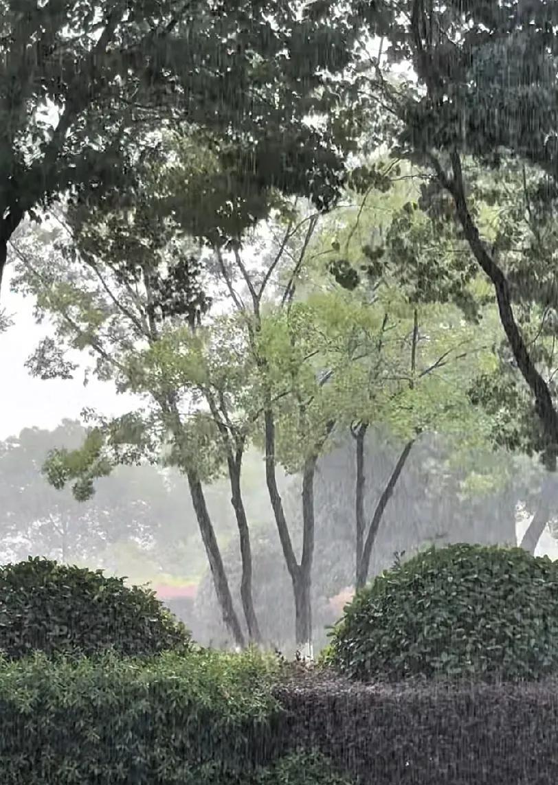 7月12日南京打雷下雨，先等等再出门吧。
        朋友问，现在南京天气如