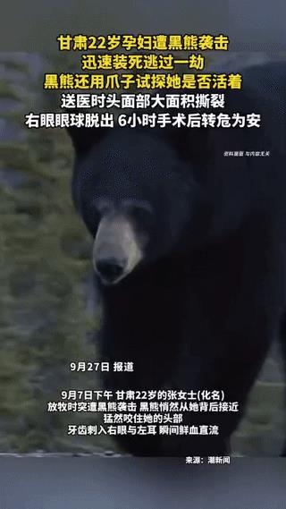 “这就是命啊！”甘肃，一孕妇在野外放牧时，突然被一头黑熊袭击，孕妇的头部瞬间被黑