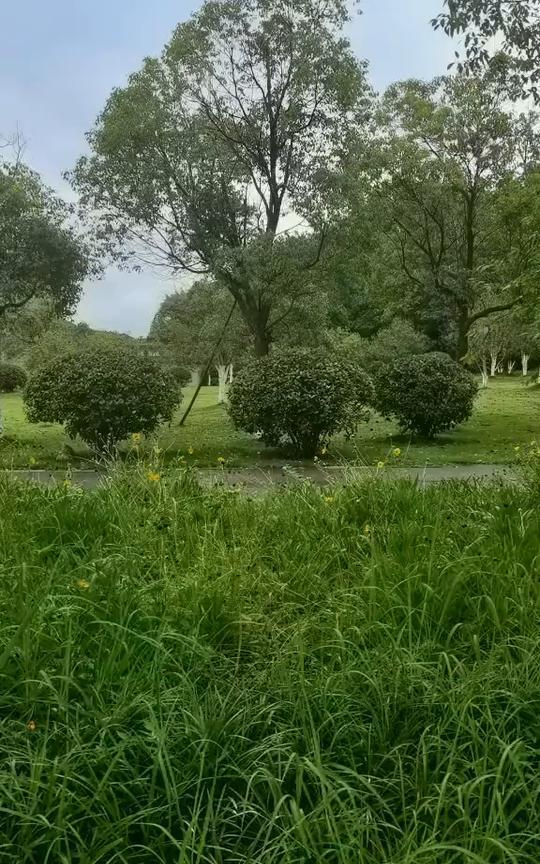 走，带你去看沿途的风景。