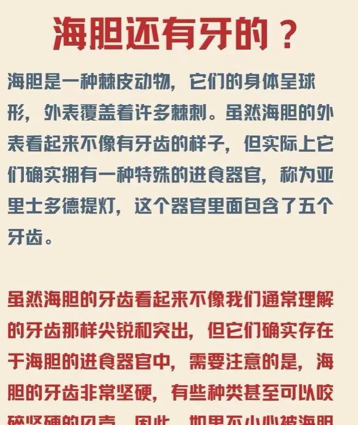 神奇的一种生物，居然有牙齿！[吃瓜群众]