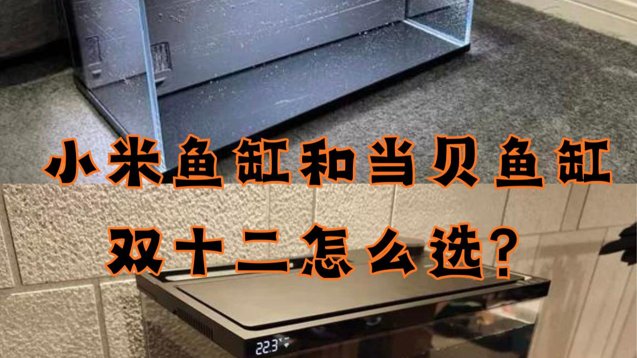 新手养鱼避坑指南：小米和当贝鱼缸实测，干湿分离才是王道