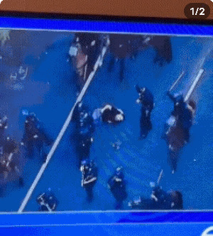 马踏飞燕！洛杉矶暴力执法震惊全美











我的天哪！洛杉矶街头简直