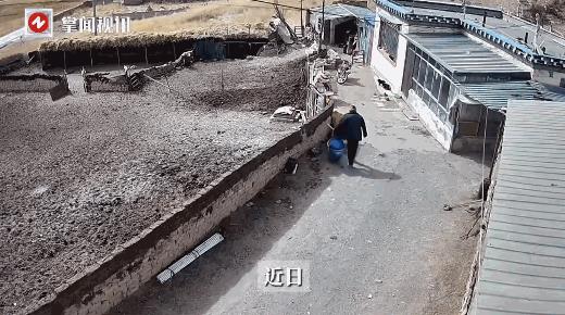 “电视剧都不敢这么演！”近日，西藏，一位大爷回家的途中，突然被一条黑色的恶犬袭击