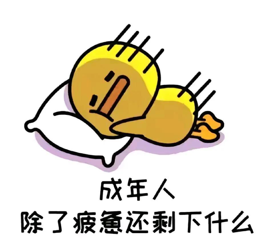下午老公的堂弟来电，说要带着两个儿子从深圳回老家借宿两天。



接到电话的那一