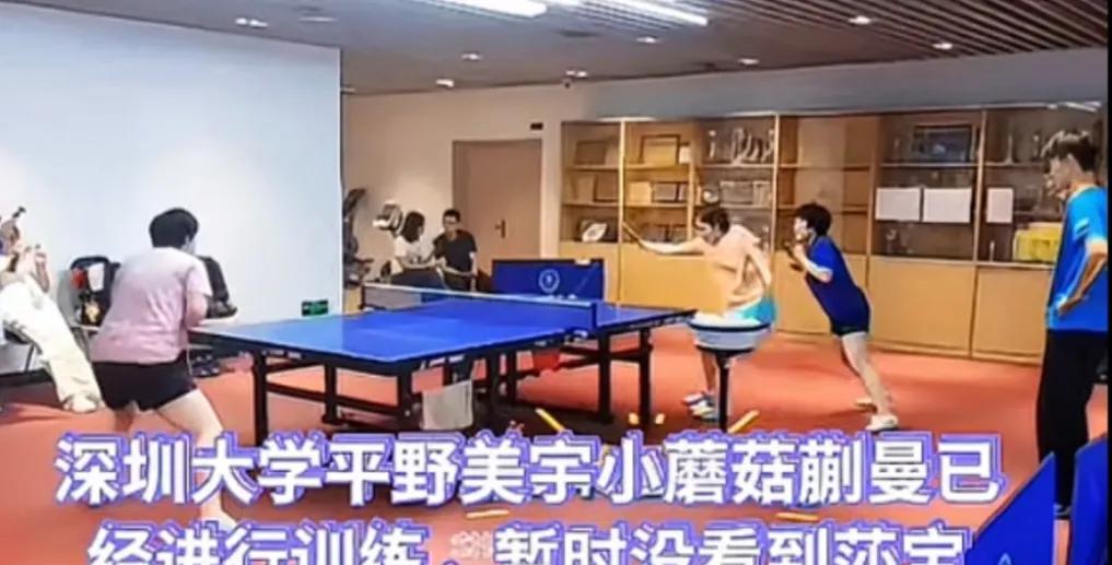 深大幼儿园的小朋友已经聚到一起备战乒超了，作为班长的孙颖莎小朋友迟迟未露面。
网