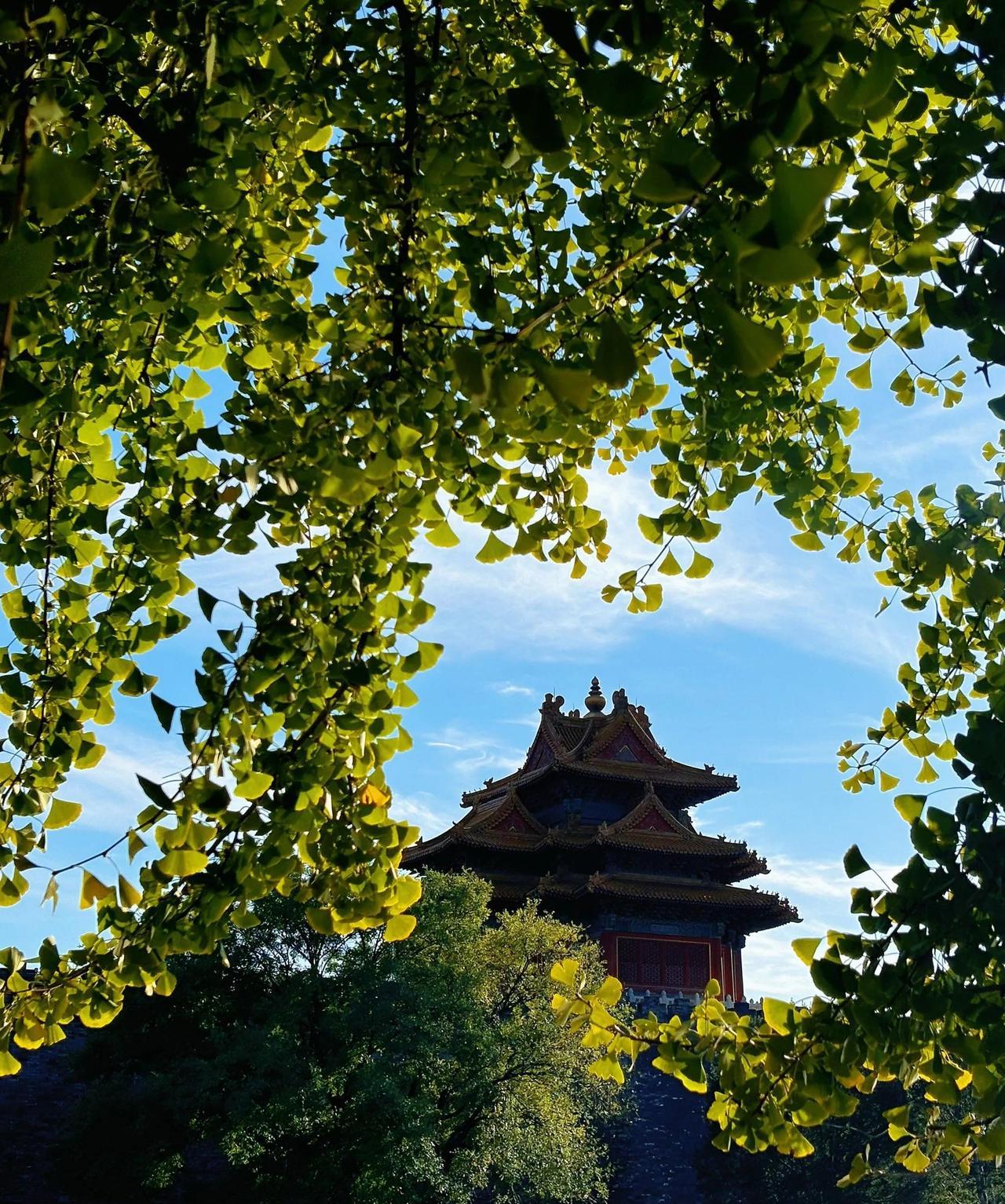 北京今天晴转多云，最低温度只有13℃！
秋天的北京，微风拂面，温度适宜，今天白天