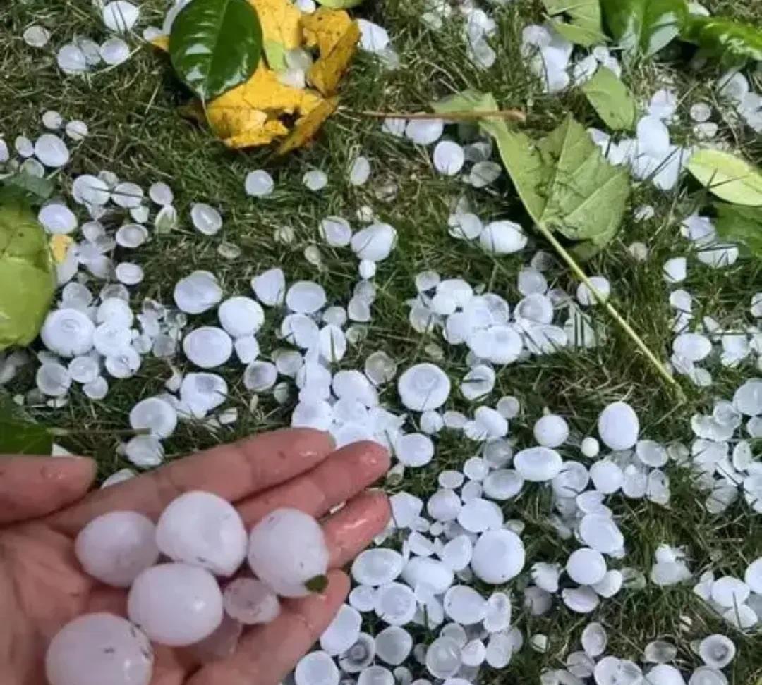 今年的冰雹怎么这么多？
最近看了很多友友发的视频，四川、湖南、黑龙江等地很多地方
