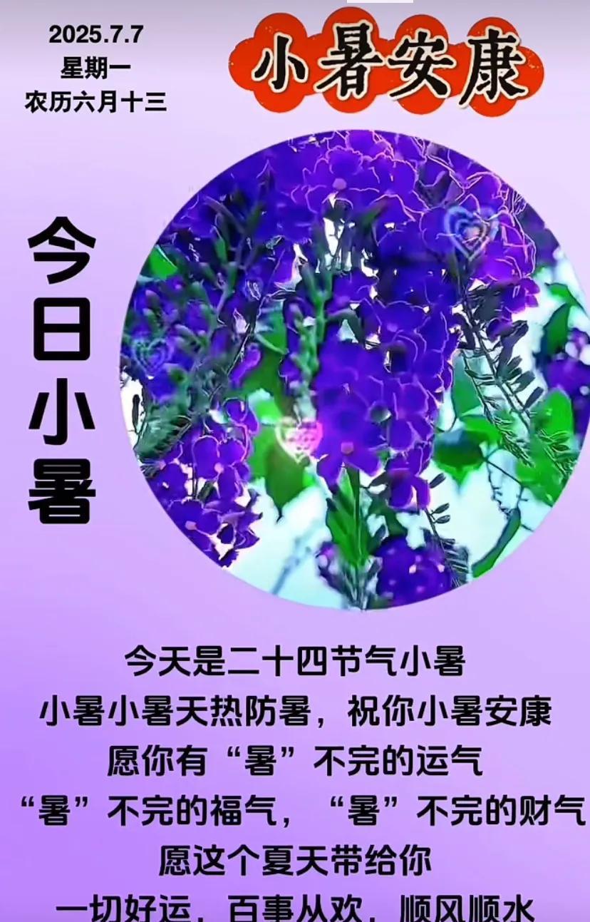 小暑时节，荷香满溢，愿你清凉一夏。