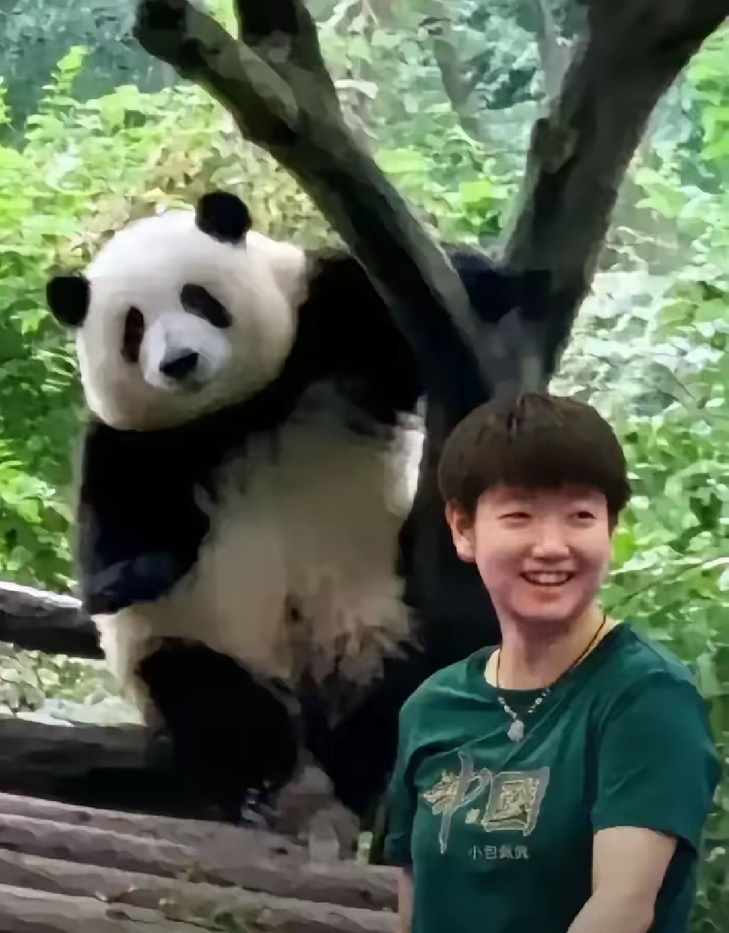 多哈世乒赛今天女单决赛
孙颖莎对王曼昱
先看一下5月25日王曼昱的生物钟状态