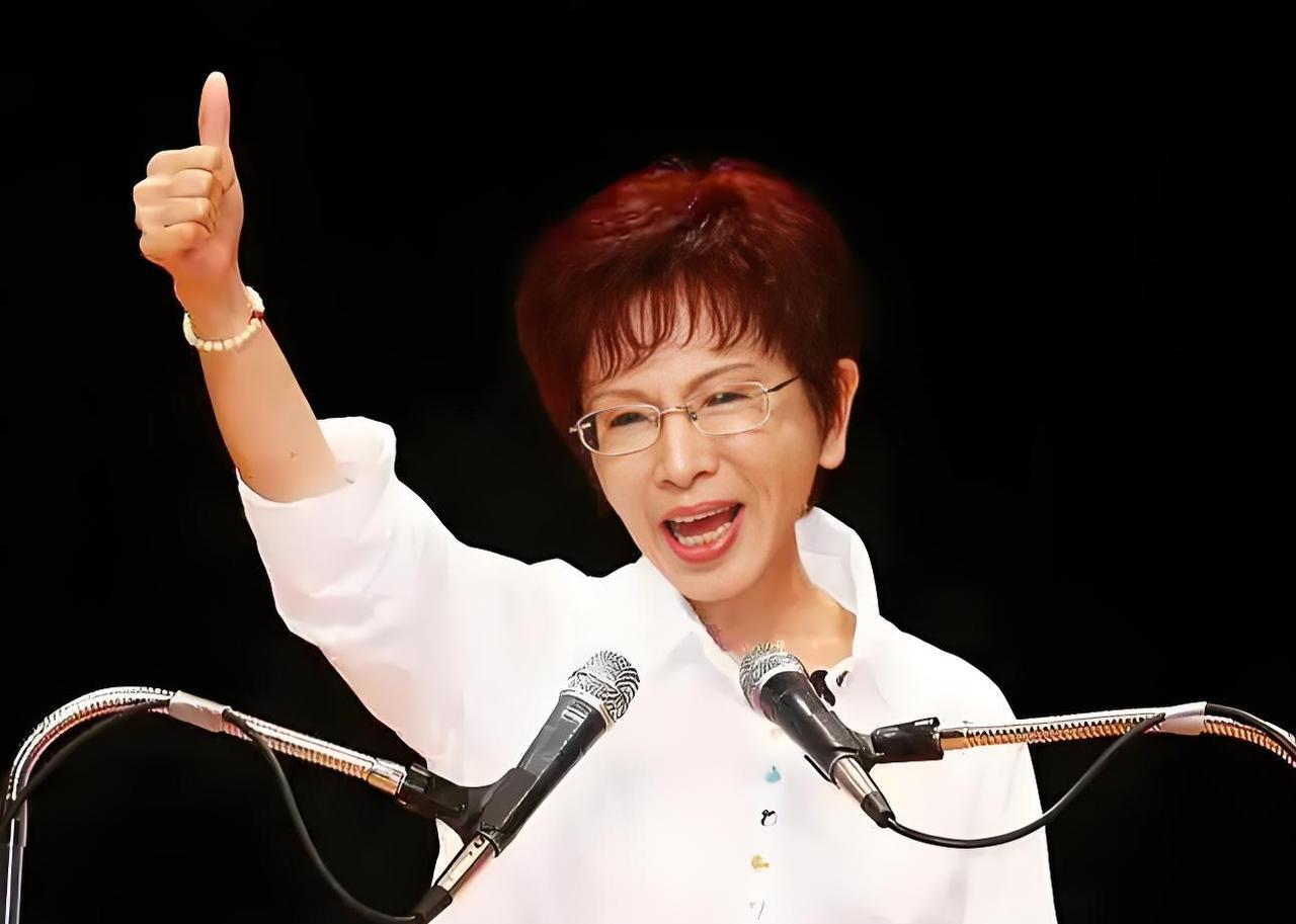 洪秀柱是个明白人，率团到内地，对两岸关系进行了表态。
27日，第二届“海峡两岸中