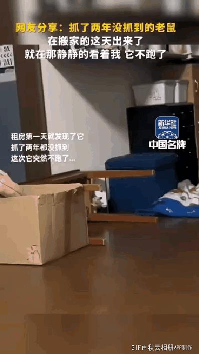 毕竟是两年的邻居了，你要搬家了出来送送你很正常[得意]