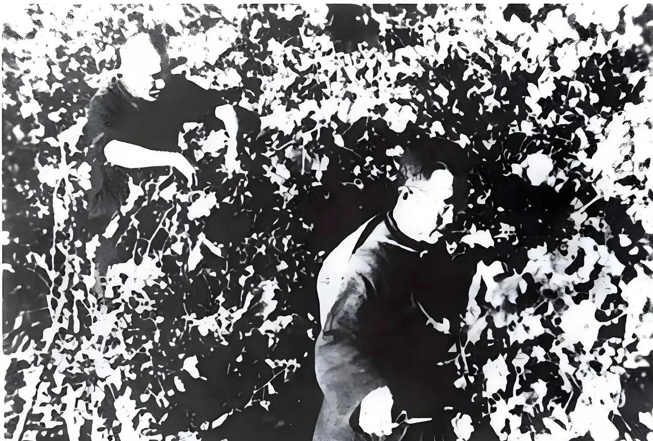 1957年夏，杜聿明（前）、王耀武（后）在北京北郊战犯管理所参加劳动。#历史#