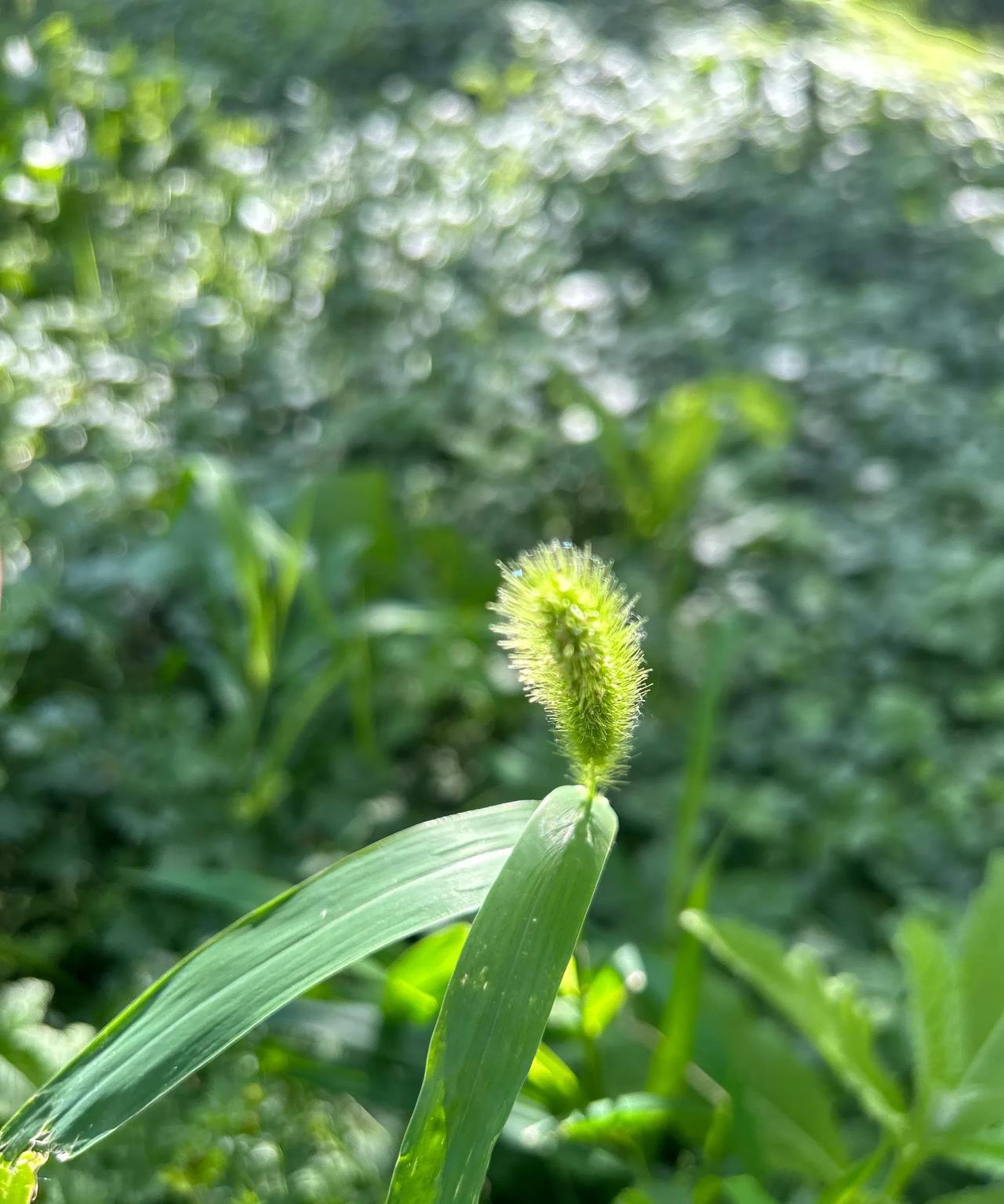 朋友的孩子今年研究生毕业，签约一家实力很强的外企，工薪和福利待遇都很不错，当天到