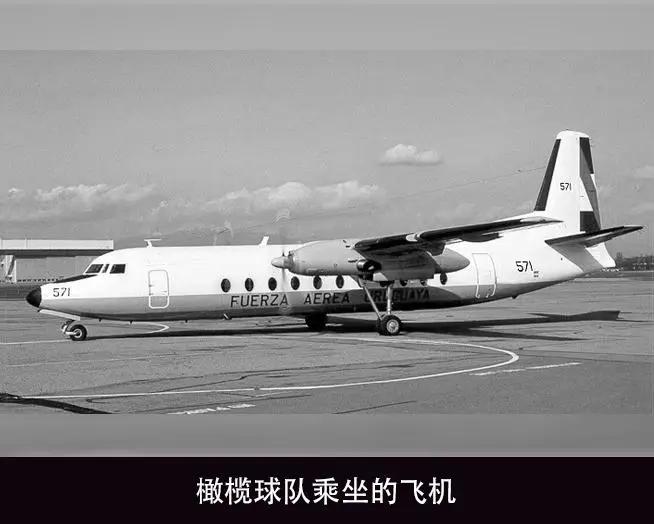 如果我死了，你们可以吃掉我