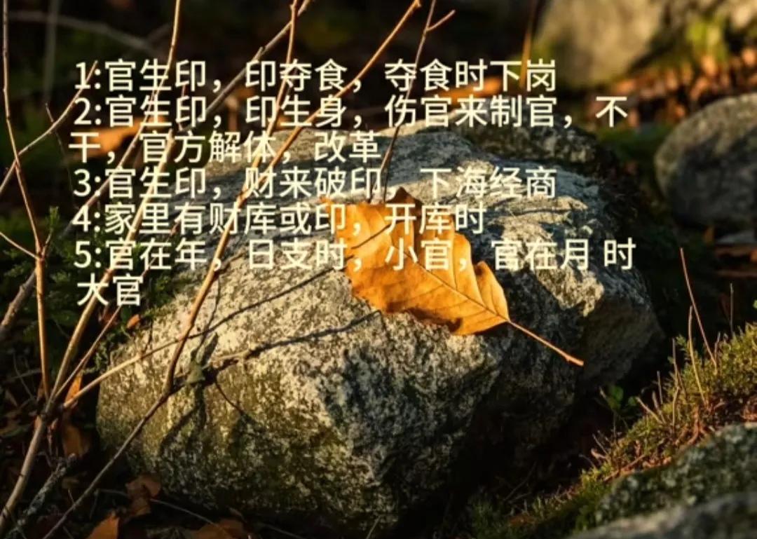 官印相生组合