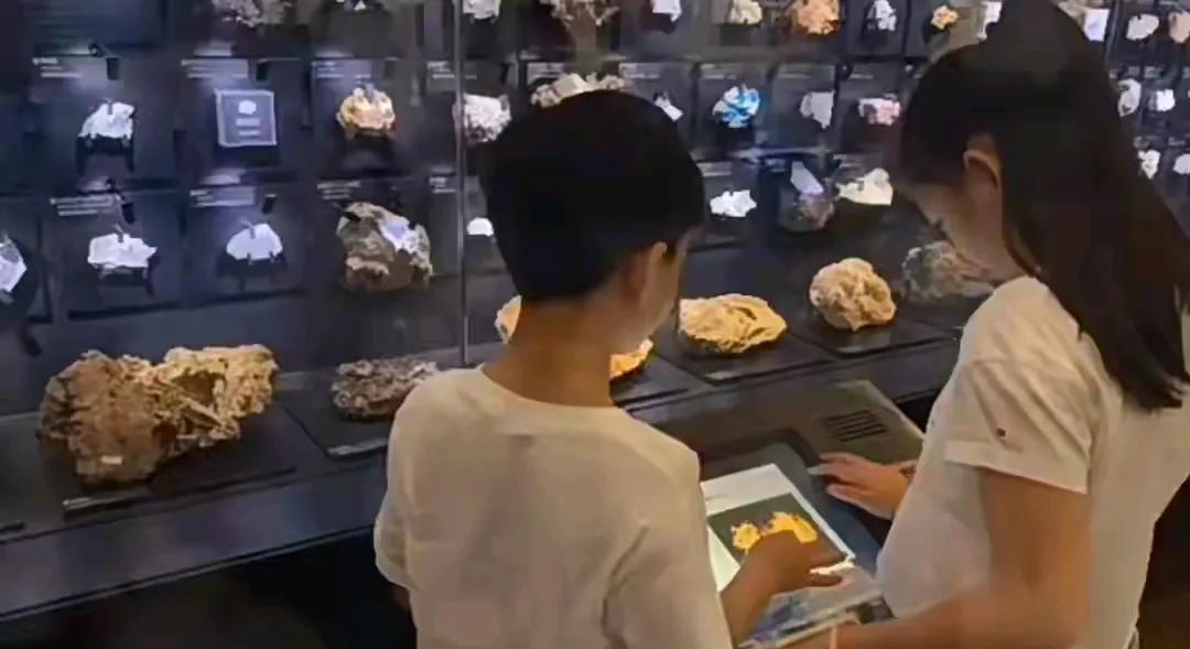 朱孝天说得没错，两个孩子回到北京跟着爸爸生活，确实是最合适也最好的选择。
要知道