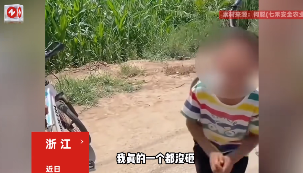“这下后悔了吧！”近日，浙江，一群小男孩在瓜农的西瓜地里，把刚成熟的西瓜砸坏了好