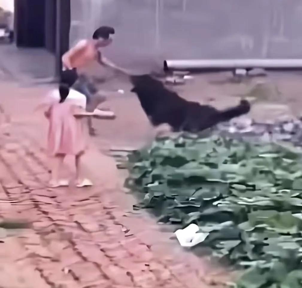 一家人外出闲逛，突遭恶犬袭击！男子为了保护妻子和女儿，单枪匹马勇斗恶犬，让人泪目