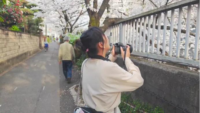被诓了，2025第一批去日本看樱花的人，正在日本街头骂街