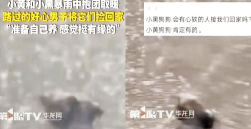 泪目！

湖北恩施，男子开车回家时，突降暴雨！

刚开了1分钟，就发现路