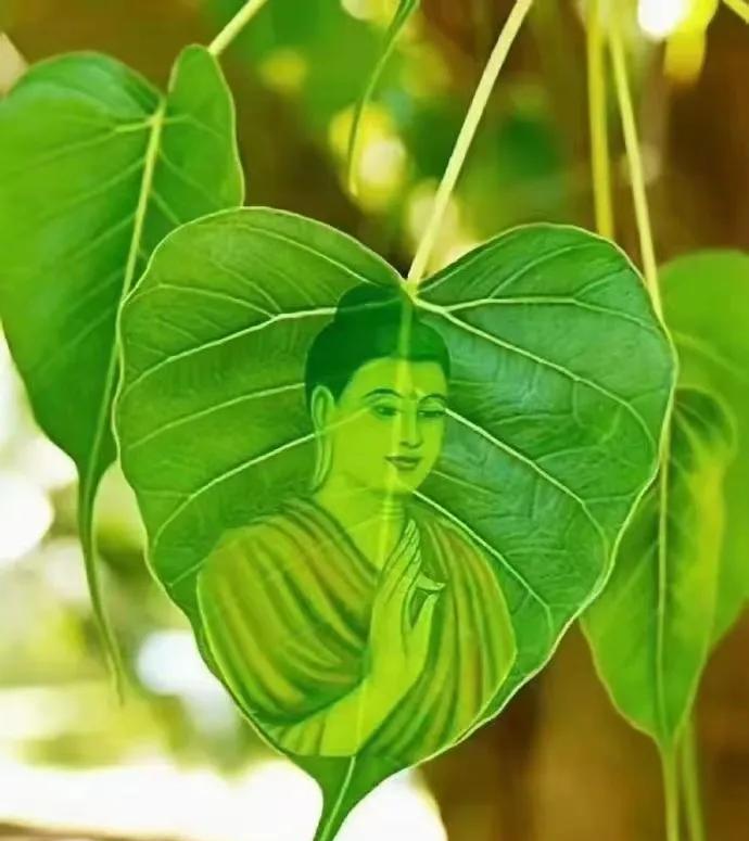 吉祥如意的一天开始了！
无我，是心灵的解脱之道。
放下自我，便能超越狭隘，
拥抱
