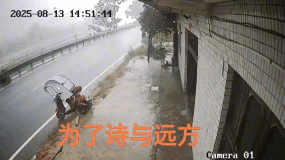 像是下定了某种决心，电瓶车实现了自我智能，为了诗与远方离家出走了！