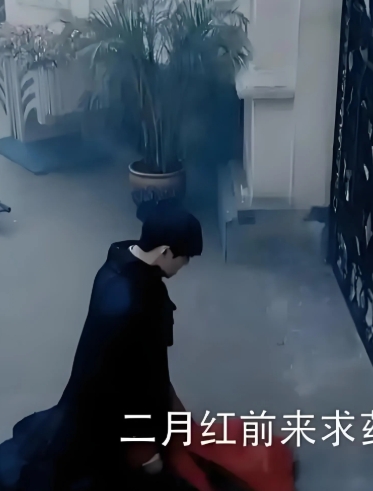 二月红前来求药，请佛爷赐药！
  老九门中二月红的妻子丫头，身患重病，二月红得知