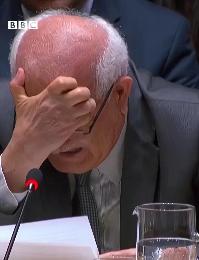 是什么让一个老人家掩面而泣呢？
这个老人家是巴勒斯坦驻联合国大使利雅德·曼苏尔，