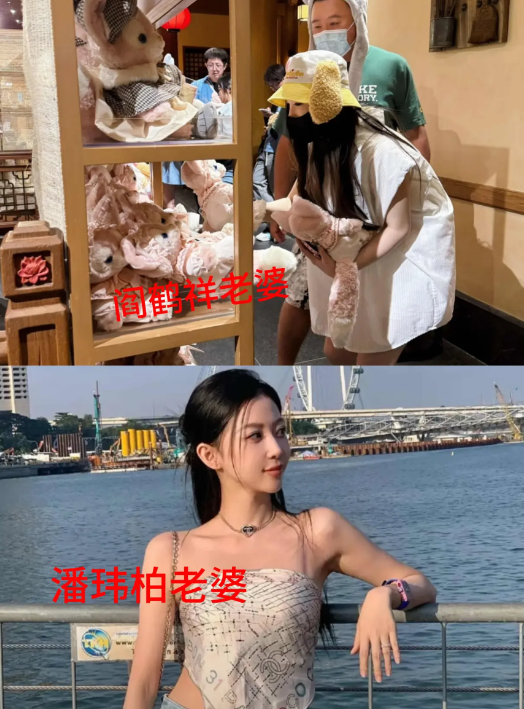 看了阎鹤祥老婆的照片
我有一种感觉
那就是和潘玮柏老婆，是一个
类型的，像网红或