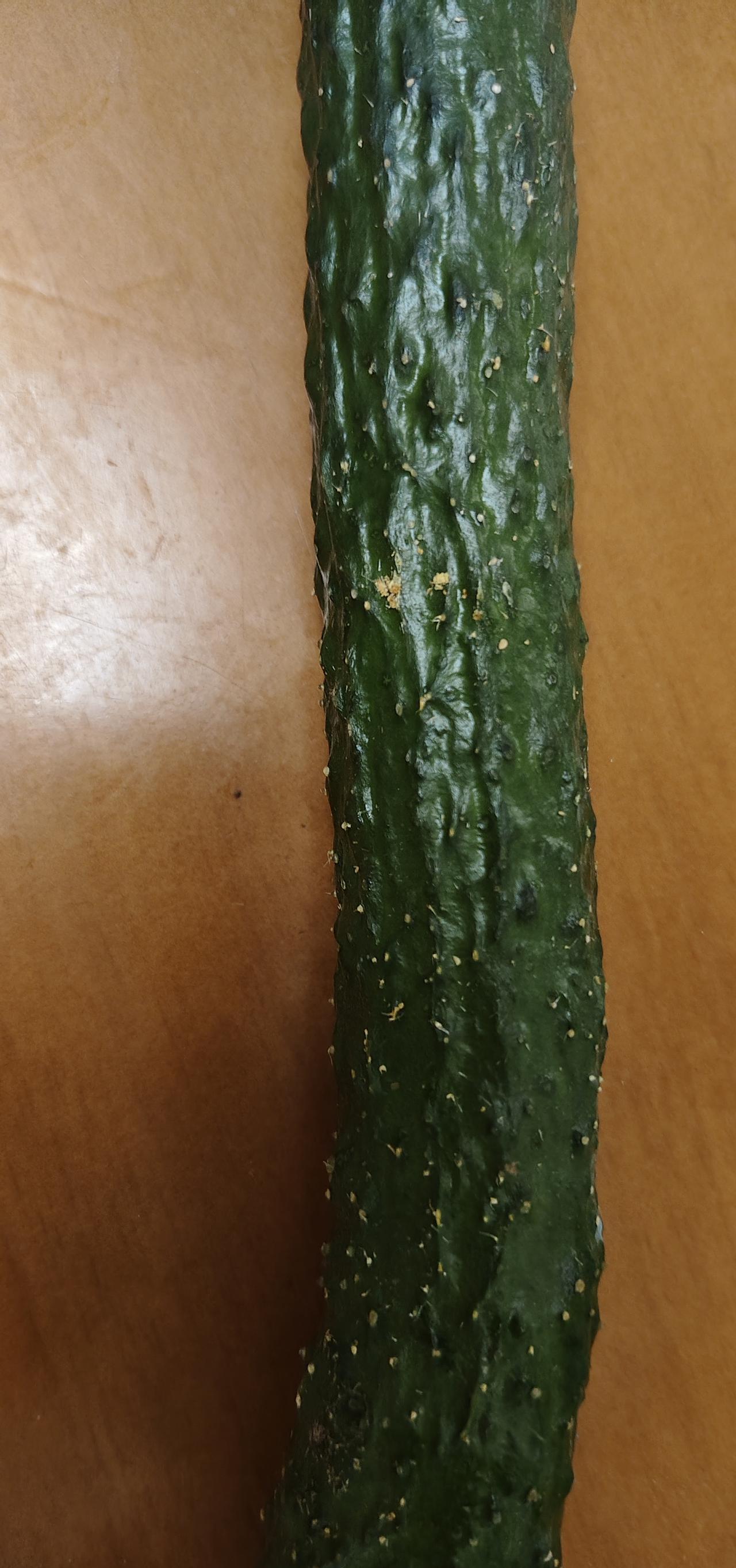 二型糖尿病患者的午餐；
先吃一条青瓜，要去皮的[捂脸]。
再吃鱼，这是剥皮鱼。