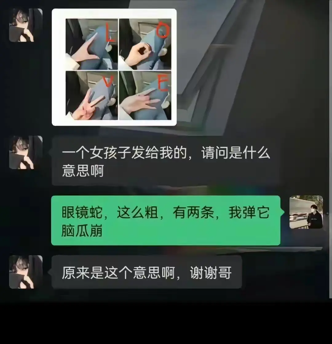 原来这么解释的啊，难怪你没对象