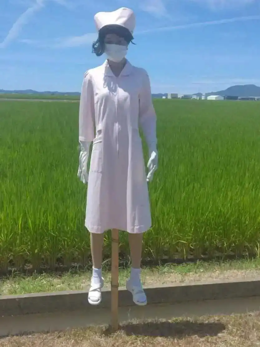 这个稻草人，到底是吓人还是吓鸟？
